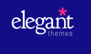 Read more about the article Best Elegant Theme For Beginners 2023